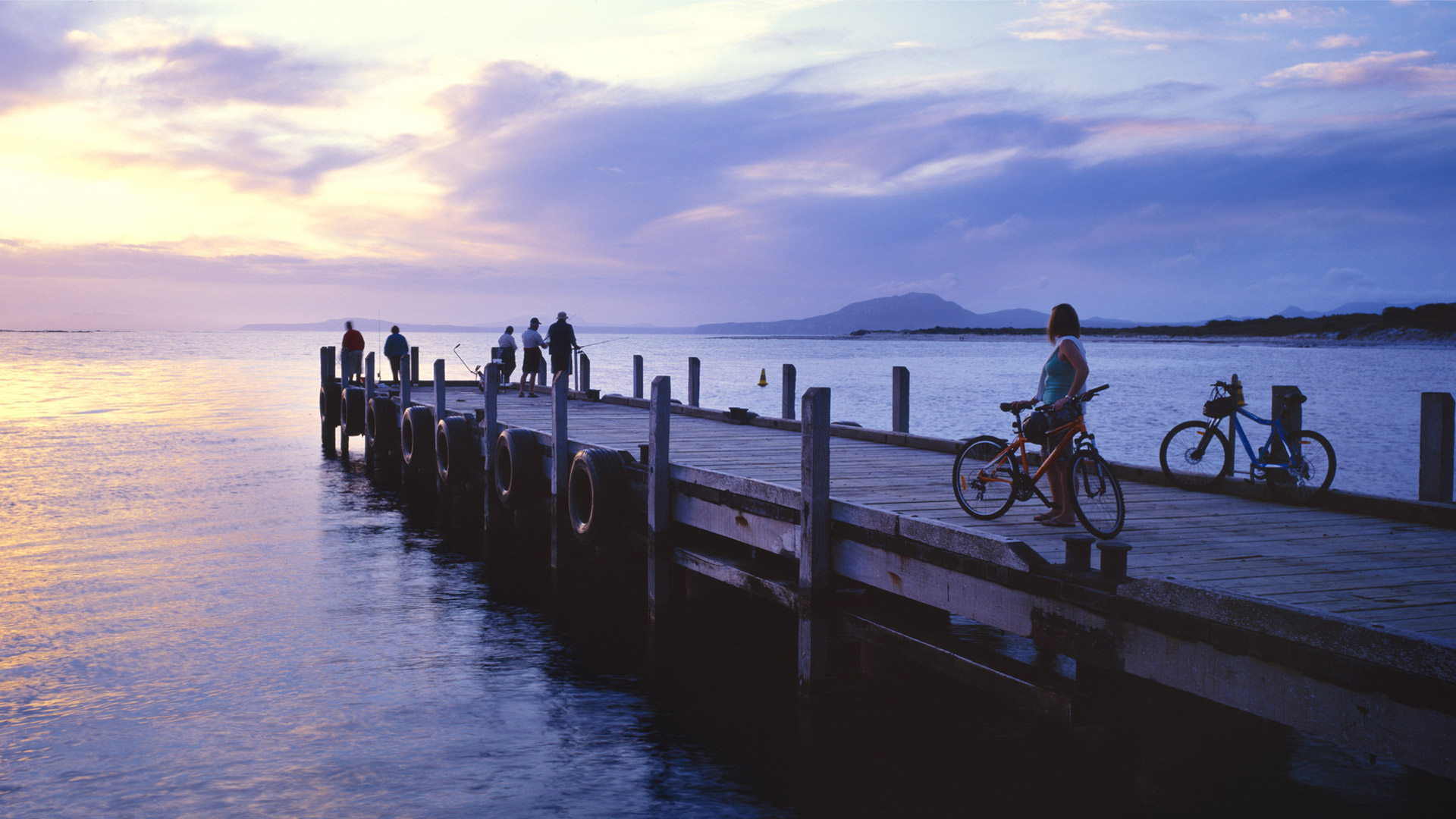 people fishing from wooden jetty at dusk